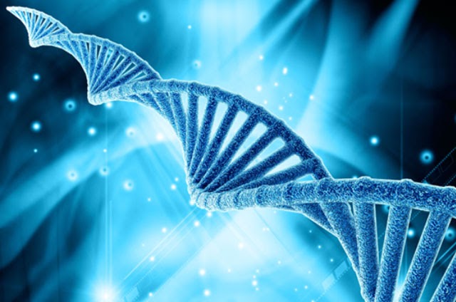 Giám định ADN cũng giống xét nghiệm ADN, đều kiểm tra huyết thống thông qua các nhiễm sắc thể trong cơ thể người
