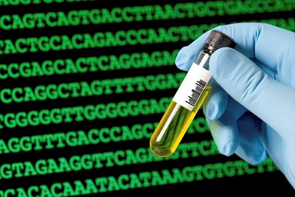 Bất cứ bộ phận nào trên cơ thể người đều có thể làm mẫu vật để giám định ADN 
