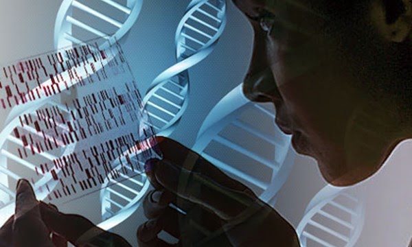 Các bước kiểm tra ADN theo quy chuẩn công nghệ chuẩn xác nhất 2019