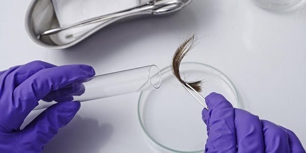 Xét nghiệm ADN bằng tóc
