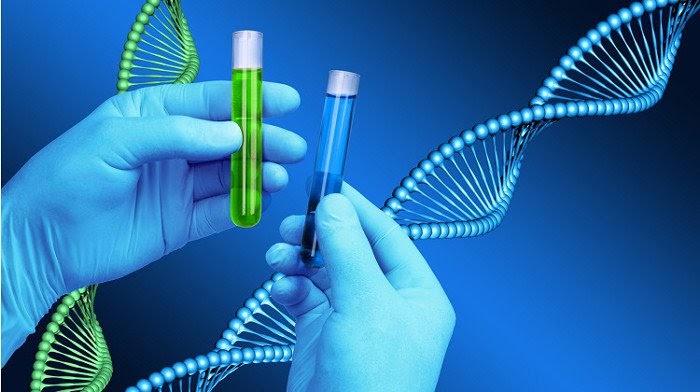 Xét nghiệm ADN giá bao nhiêu là chính xác nhất?
