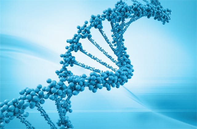 Xét nghiệm ADN áp dụng cho nhiều đối tượng khác nhau